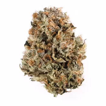 Blue Cheese Cannabis Strain UK