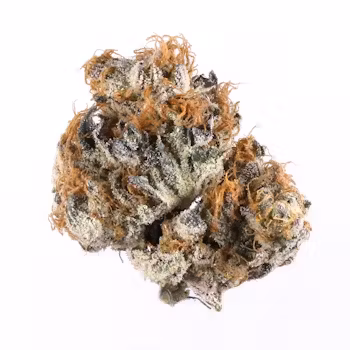 Blueberry Cannabis Strain