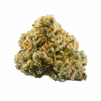 Buddha's Tooth Weed Strain UK