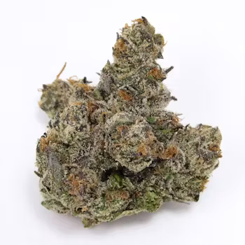 Capital Haze Marijuana Strain