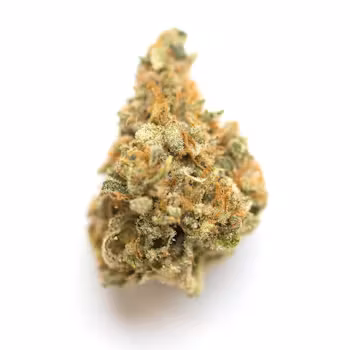 Cinderella Jack Weed Strain UK