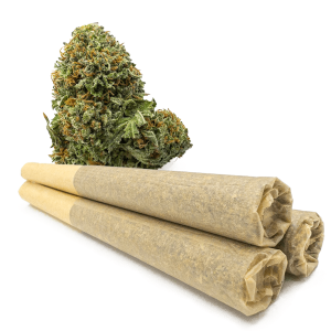 Elmer’s Glue 0.9 Gram Pre-Rolled Joints UK