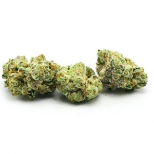 Joka Candy Marijuana Strain